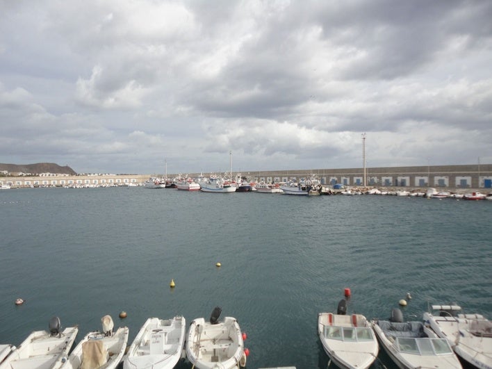 La Junta construirá un nuevo pantalán para embarcaciones menores en el puerto de Carboneras